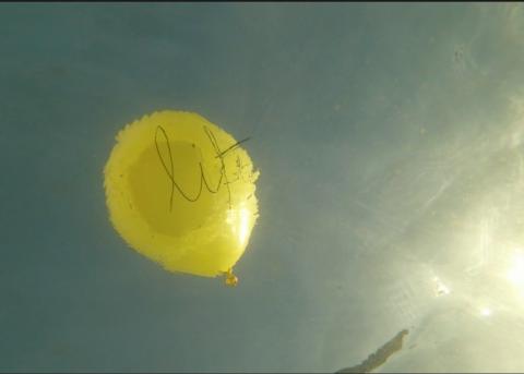 Luftballon mit der Aufschrift „Life“ aus der Videoprojektion von John Adams' The Death of Klinghoffer.
